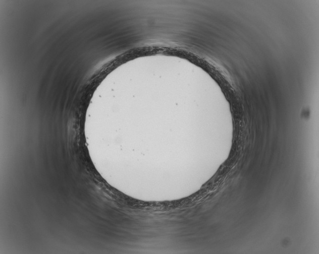 X0000116760872201001141427