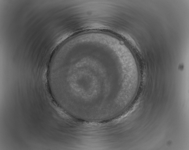 X0000116760873201001141427