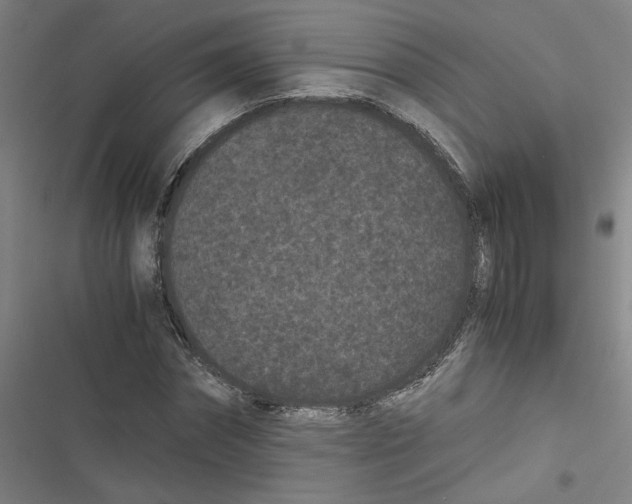 X0000116760874201001141427