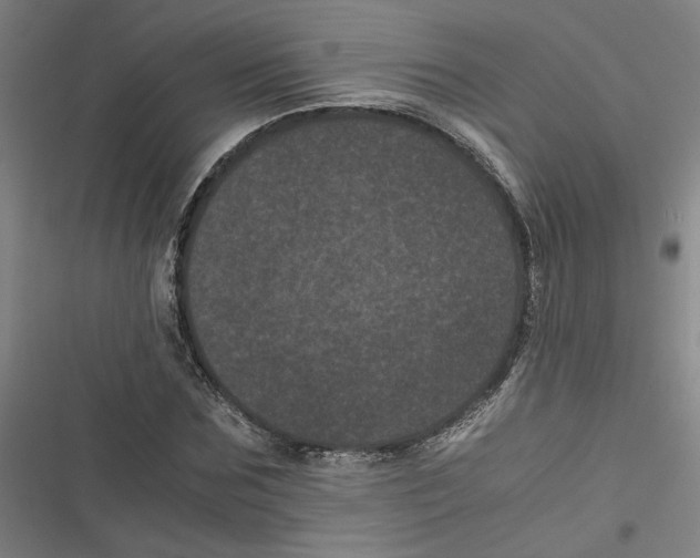 X0000116760875201001141427