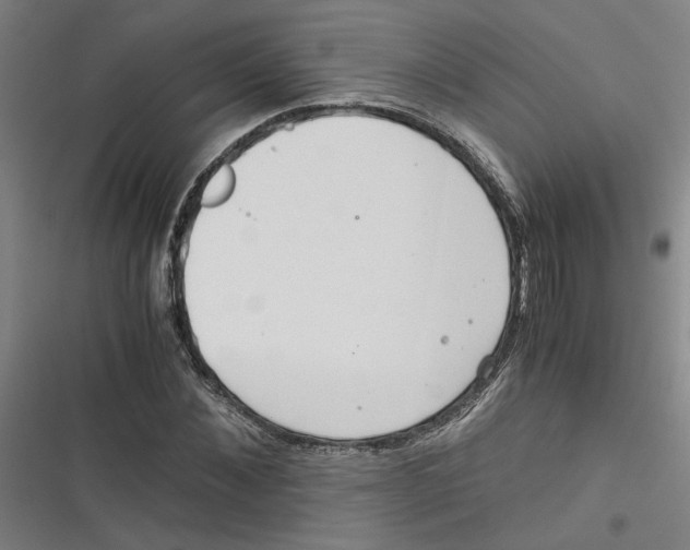 X0000116760876201001141427