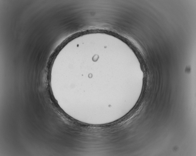 X0000116760878201001141427