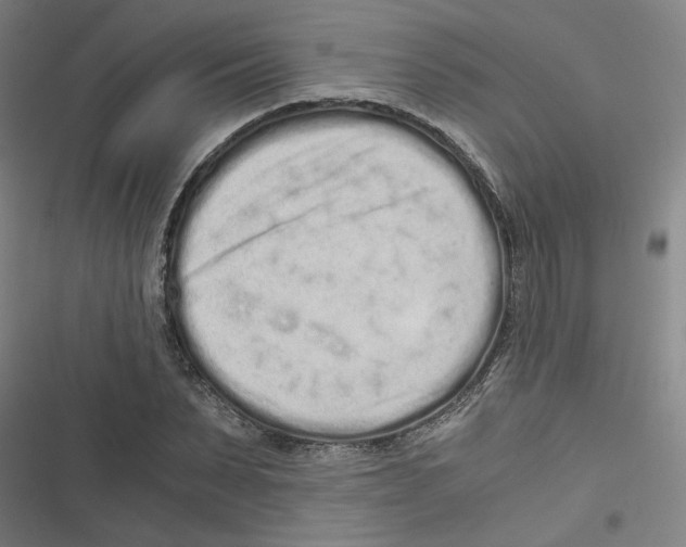 X0000116760879201001141427