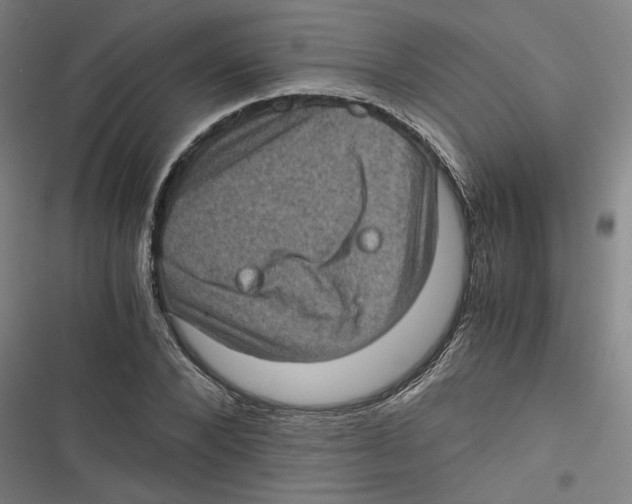 X0000116760880201001141427