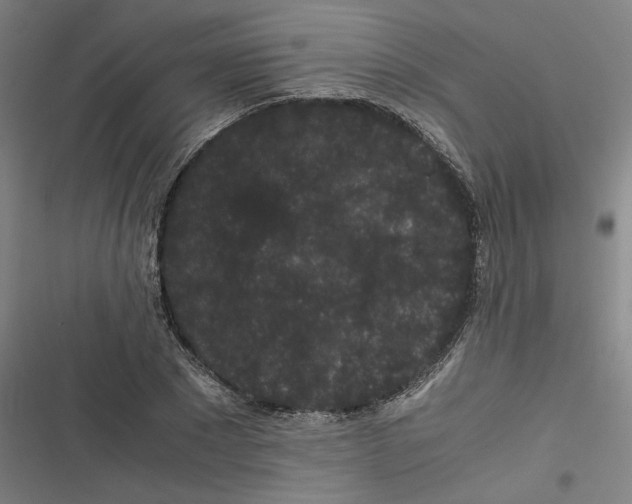 X0000116760881201001141427