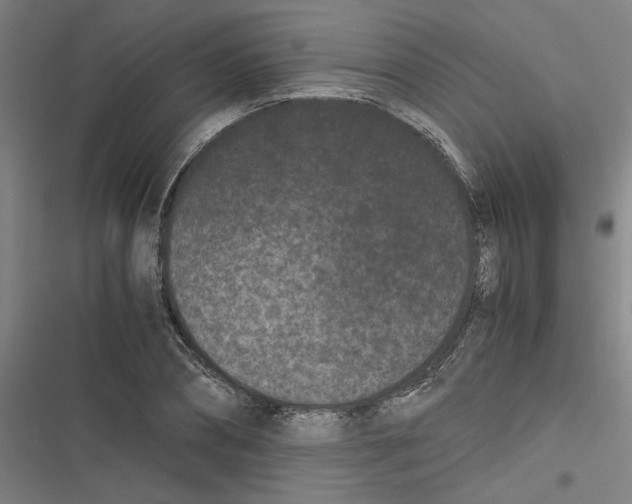 X0000116760882201001141427