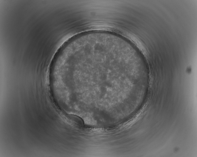 X0000116760883201001141427