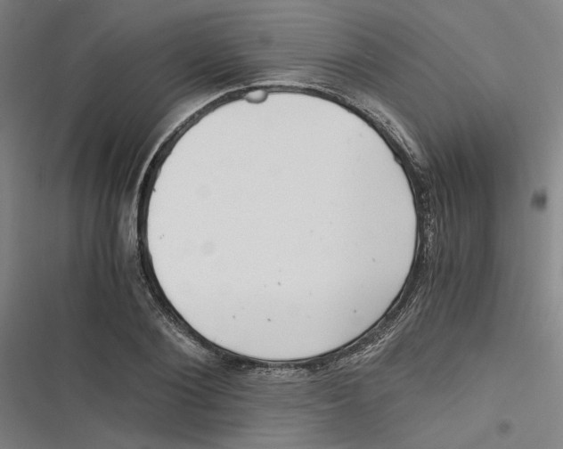 X0000116760884201001141427