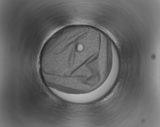 X0000116760885201001141427