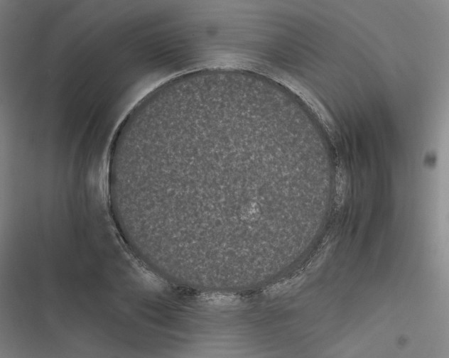 X0000116760886201001141427