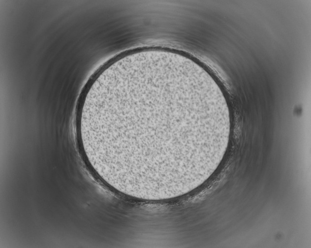 X0000116760888201001141427