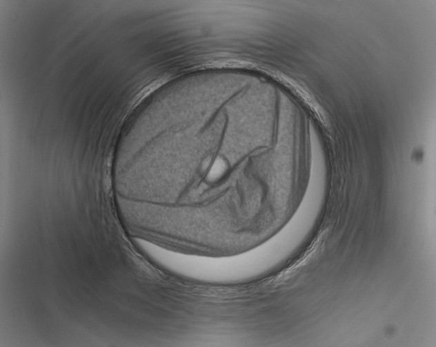 X0000116760889201001141427