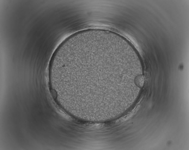 X0000116760891201001141427