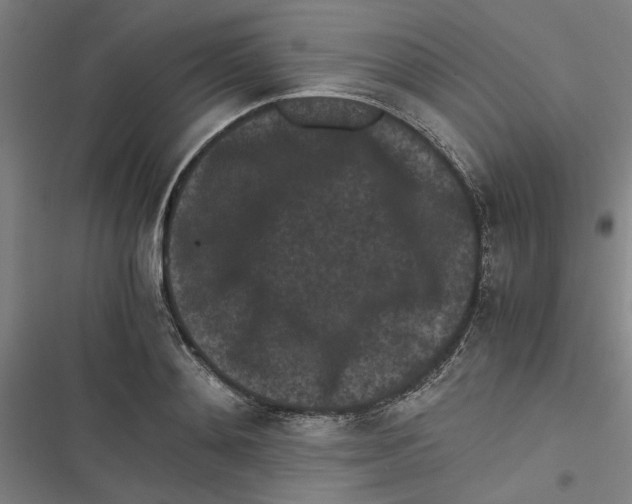 X0000116760892201001141427