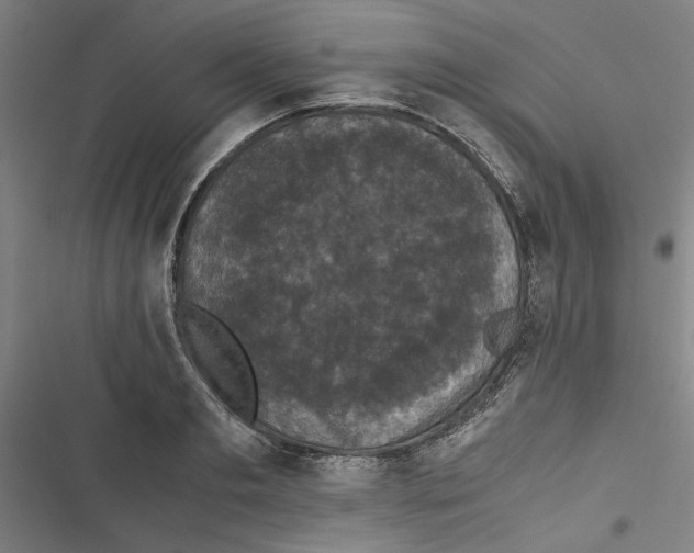 X0000116760893201001141427