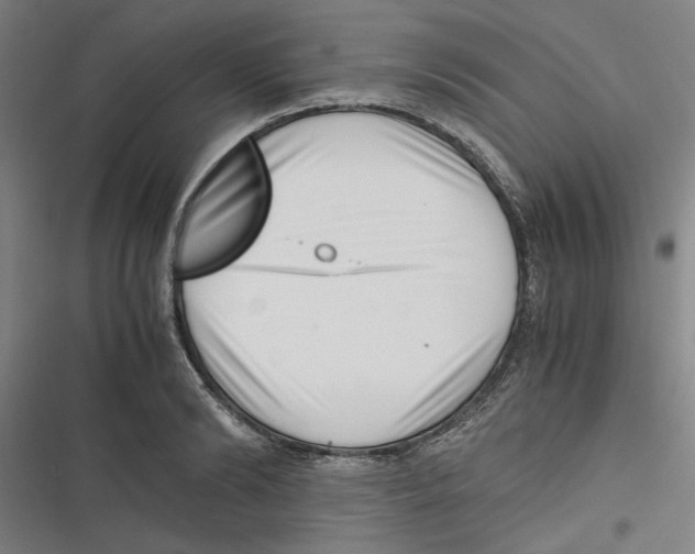 X0000116760894201001141427