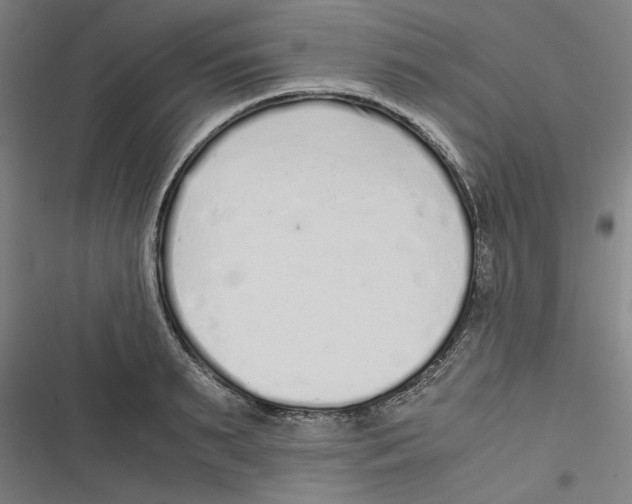 X0000116760895201001141427