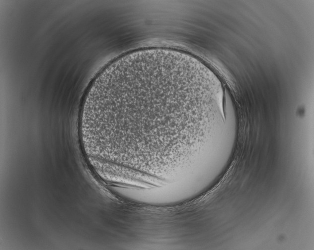 X0000116760896201001141427