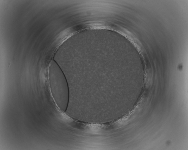 X0000116760897201001141427