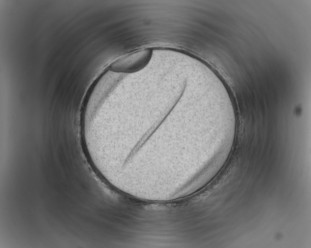 X0000116760898201001141427