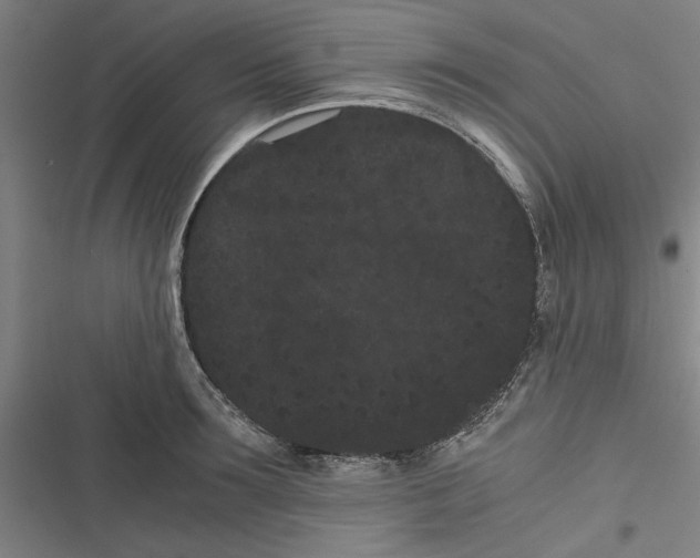 X0000116760899201001141427