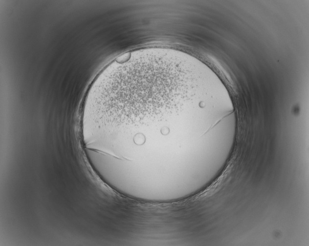 X0000116760900201001141427