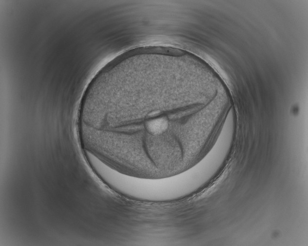 X0000116760901201001141427