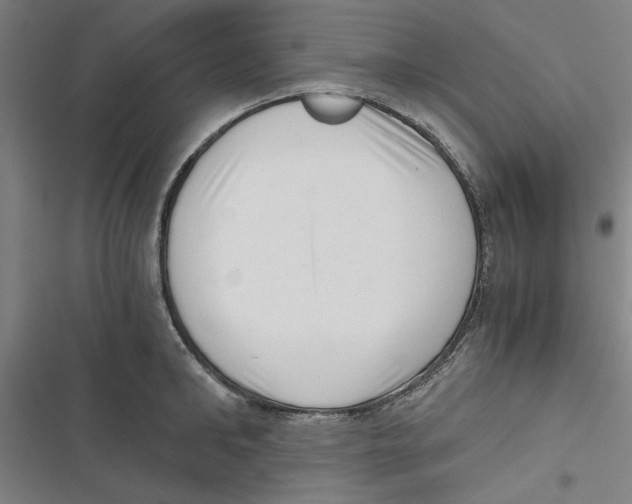 X0000116760902201001141427