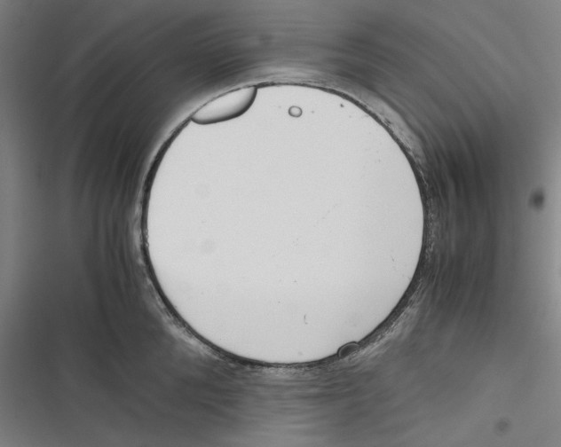 X0000116760904201001141427