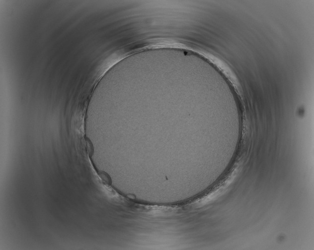 X0000116760905201001141427