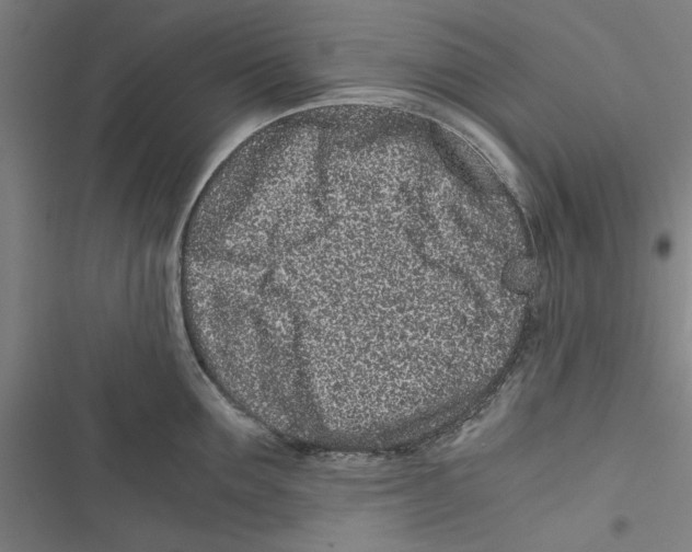 X0000116760907201001141427