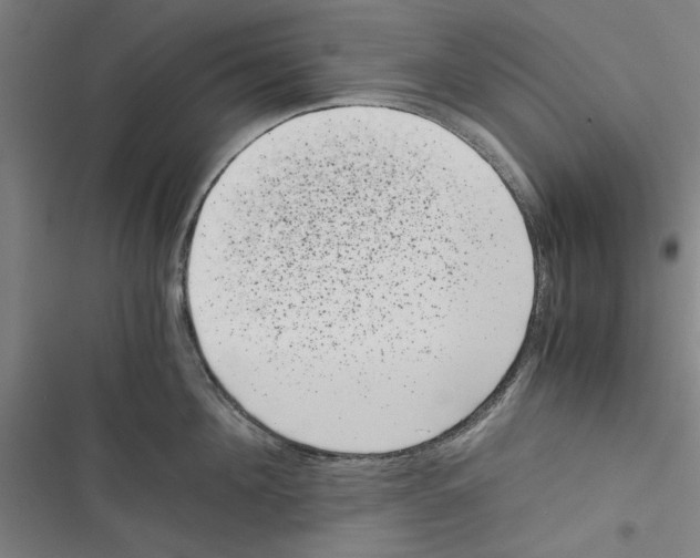 X0000116760908201001141427