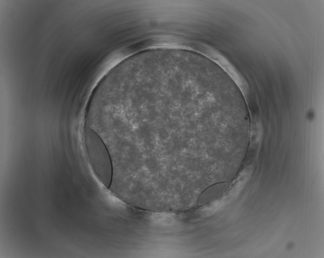 X0000116760909201001141427