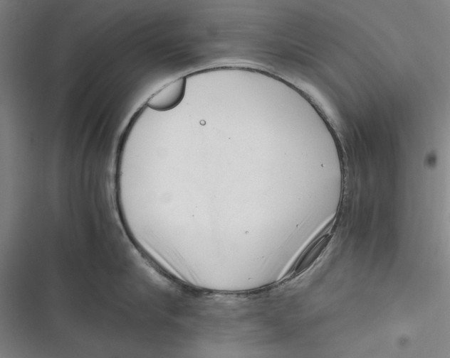 X0000116760910201001141427