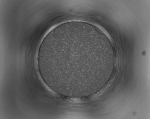 X0000116760911201001141427