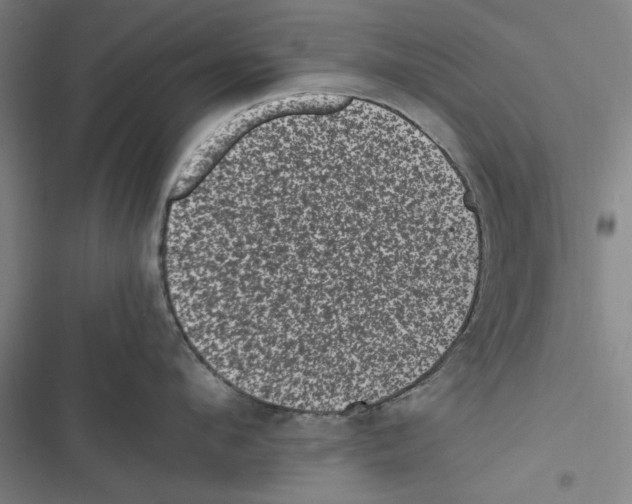 X0000116760912201001141427