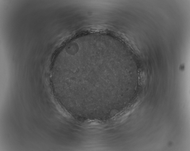 X0000116760913201001141426