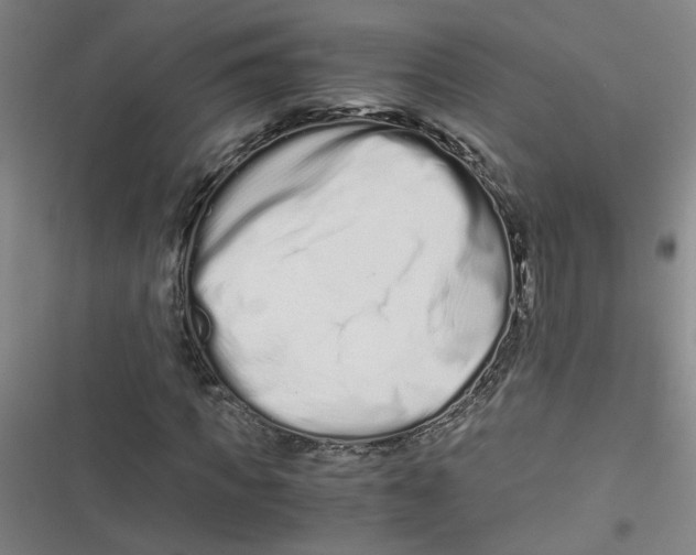 X0000116760917201001141426