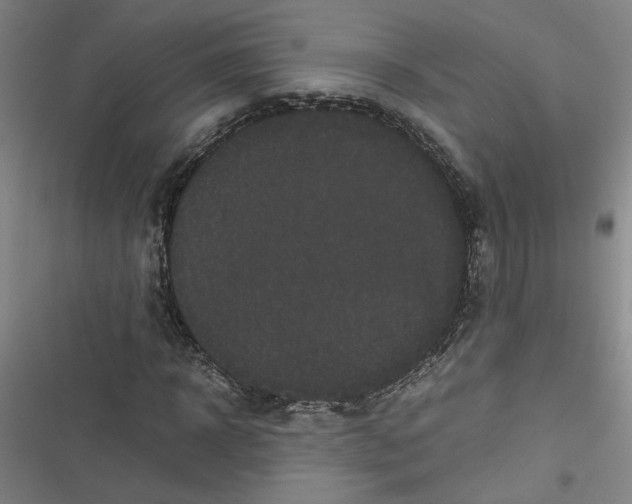 X0000116760918201001141426