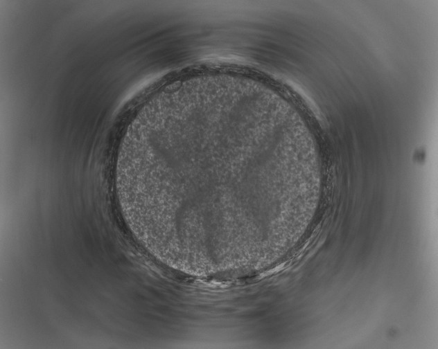 X0000116760919201001141426