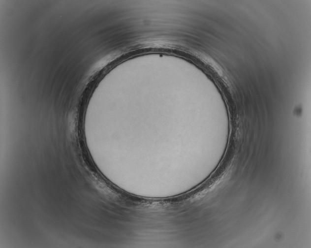 X0000116760922201001141426