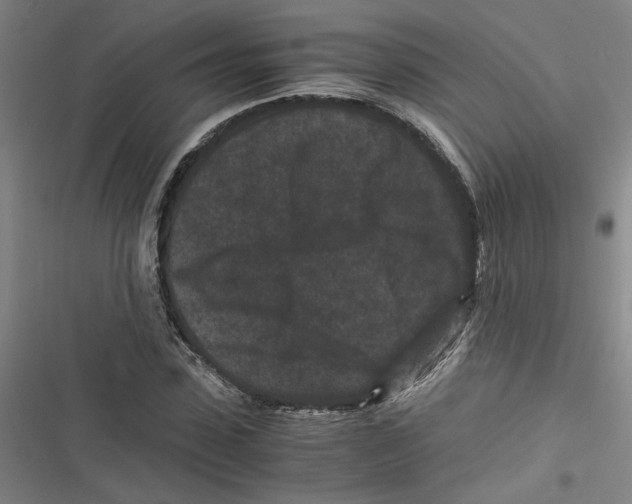 X0000116760923201001141426