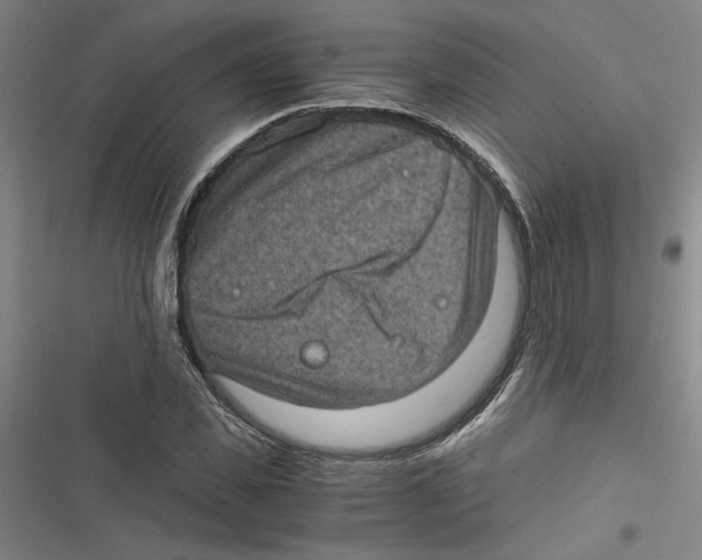 X0000116760925201001141426