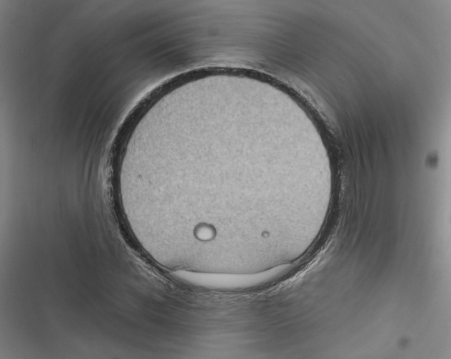 X0000116760926201001141426