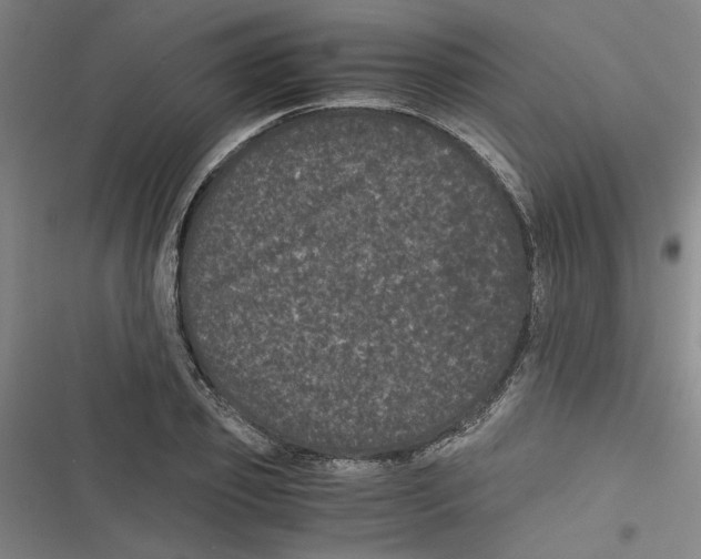 X0000116760933201001141426