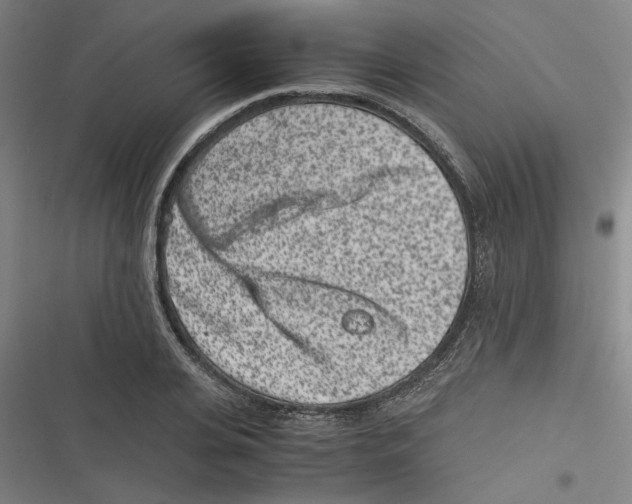 X0000116760935201001141426