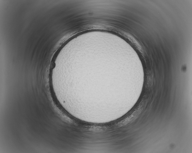 X0000116760938201001141426