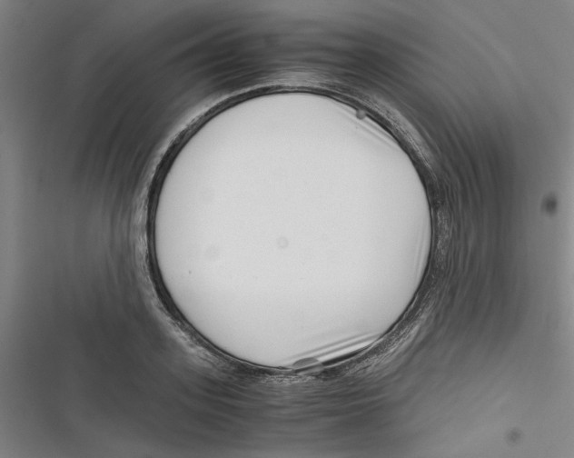 X0000116760939201001141426