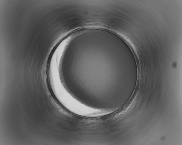 X0000116760941201001141426