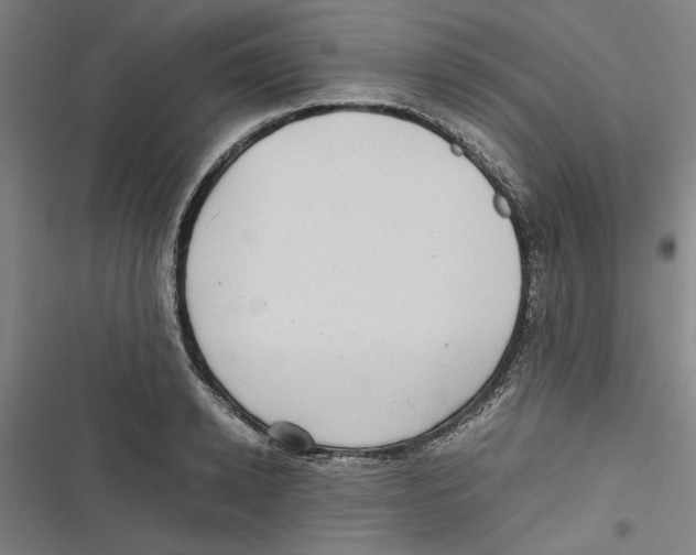 X0000116760942201001141426